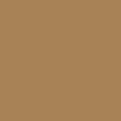 GELCOAT ISO RAL 1011 Beige marrone